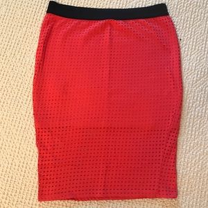 Zara Trafaluc skirt